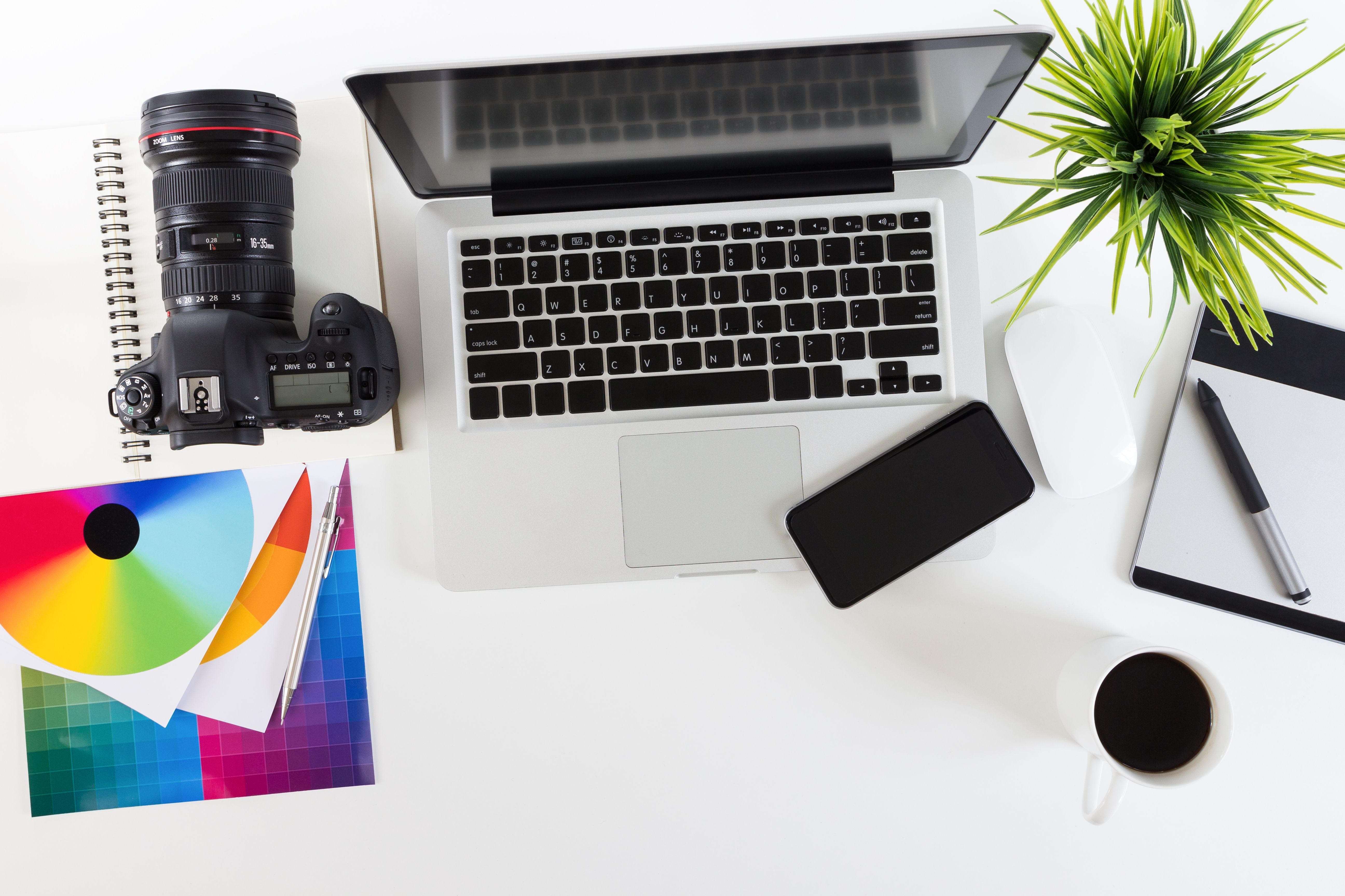 Odoo CMS - una imagen grande